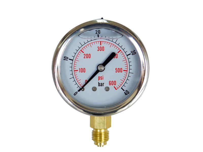 SB系列半鋼壓力表